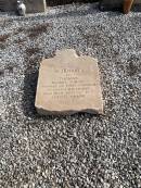 
Thomas GRENIER
d: 25 Aug 1857, aged 17
eldest son of Thomas and Mary GRENIER

research notes: Family were living in South Brisbane when son Thomas died. Buried in North Brisbane cemetery at Paddington. When that cemetery converted to be athletics ground (Lang Park), headstones were dumped in Toowong Cemetery as landfill. Recent volunteer project at Toowong is digging them up and this one was taken out to God\222s Acre to be put in plot with his parents

Gods Acre cemetery, Archerfield, Brisbane\000
