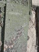 
John JENKINS
died at Miriam Vale
Aug 1895
aged 31

?
Goodna GEN
Aug 1906



Elly JENKINS
Born in Mal..?


Goodna General Cemetery, Ipswich.

