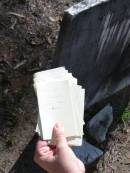 
All??n SHEARER, 1 Nov 1896 aged 35 years;
Goodna General Cemetery, Ipswich.
