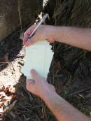 
William AC?? July 1900;
Goodna General Cemetery, Ipswich.
