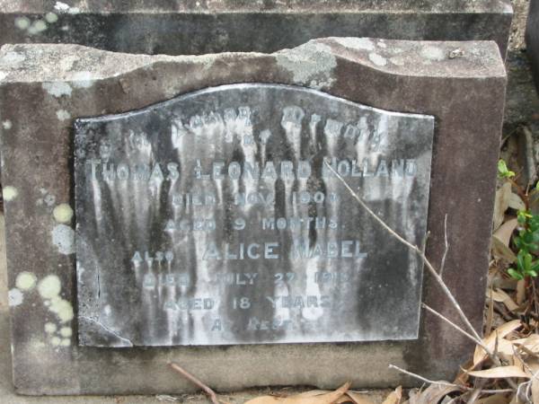 Thomas Leonard HOLLAND died Nov 1904 aged 9 months;  | Alice Mabel died 27 July 1913 aged 18 years;  | Goodna General Cemetery, Ipswich.  | 