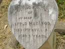 
Alfred MACLEOD,
son,
died 17 Nov 1929 aged 9 years;
Goomeri cemetery, Kilkivan Shire
