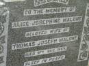 
Alice Josephine MALONE,
wife of Thomas Joseph MALONE,
died 9 Dec 1955;
Goomeri cemetery, Kilkivan Shire
