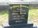 
Noel WEBB,
husband father,
died 15 May 1985 aged 77 years;
Goomeri cemetery, Kilkivan Shire
