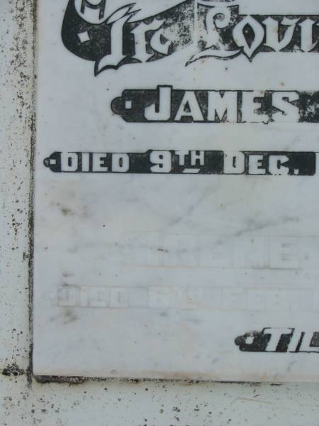 James E. ANDERSON,  | died 9 Dec 1952 aged 67 years;  | Irene M. ANDERSON,  | died 6 Feb 1987 ageed 76 years;  | Goomeri cemetery, Kilkivan Shire  | 