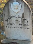 
Evelyn I. MULLEN,
died 28 Aug 1907;
Grandchester Cemetery, Ipswich
