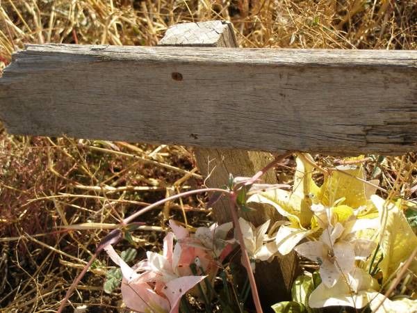 ...other MORN;  | Greenmount cemetery, Cambooya Shire  | 
