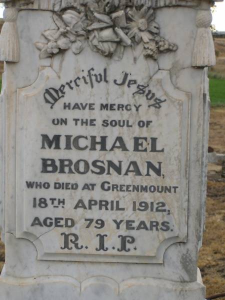 Mary BROSNAN,  | died Warwick 19 Sept 1919 aged 64 years;  | Michael BROSNAN,  | died Greenmount 18 April 1912 aged 79 years;  | Greenmount cemetery, Cambooya Shire  | 