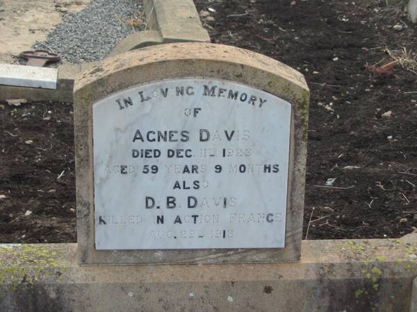 Agnes DAVIS,  | died 11 Dec 1923 aged 59 years 9 months;  | D.B. DAVIS,  | killed in action France 29 Aug 1918;  | Greenmount cemetery, Cambooya Shire  | 