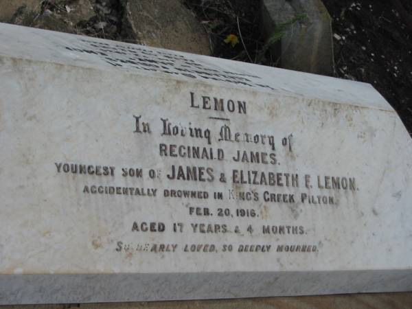 Reginald James,  | youngest son of James & Elizabeth F. LEMON,  | accidentally drowned King's Creek Pilton  | 20 Feb 1916 aged 17 years 4 months;  | Elizabeth Forbes,  | wife of James LEMON,  | died 22 Jan 1924 aged 55 years;  | Greenmount cemetery, Cambooya Shire  | 