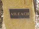 Neil Francis MACGINLEY,
of Aileach,
28 May 1943 - 28 Oct 2000,
husband of Cathy,
brother brother-in-law;
Greenmount cemetery, Cambooya Shire