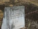 Henry David DAVIES,
died 20 April 1914;
Greenmount cemetery, Cambooya Shire