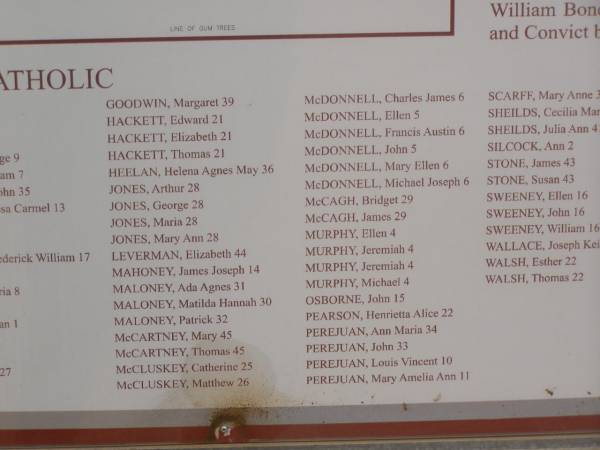 <table style= text-align: left; width: 100%;  border= 1  cellpadding= 2   | cellspacing= 2 >  | <tbody>  | <tr>  | <th style= vertical-align: top; >Name |   | </th>  | <th style= vertical-align: top; >Location <sup>+</sup> |   | </th>  | </tr>  | <tr align= center >  | <td colspan= 2  rowspan= 1  style= vertical-align: top; >Roman  | Catholic |   | </td>  | </tr>  | <tr>  | <td style= vertical-align: top; >GOODWIN, Margaret |   | </td>  | <td style= vertical-align: top; >39 |   | </td>  | </tr>  | <tr>  | <td style= vertical-align: top; >HACKETT, Edward |   | </td>  | <td style= vertical-align: top; >21 |   | </td>  | </tr>  | <tr>  | <td style= vertical-align: top; >HACKETT, Elizabeth |   | </td>  | <td style= vertical-align: top; >21 |   | </td>  | </tr>  | <tr>  | <td style= vertical-align: top; >HACKETT, Thomas |   | </td>  | <td style= vertical-align: top; >21 |   | </td>  | </tr>  | <tr>  | <td style= vertical-align: top; >HEELAN, Helena Agnes May |   | </td>  | <td style= vertical-align: top; >36 |   | </td>  | </tr>  | <tr>  | <td style= vertical-align: top; >JONES, Arthur |   | </td>  | <td style= vertical-align: top; >28 |   | </td>  | </tr>  | <tr>  | <td style= vertical-align: top; >JONES, George |   | </td>  | <td style= vertical-align: top; >28 |   | </td>  | </tr>  | <tr>  | <td style= vertical-align: top; >JONES, Maria |   | </td>  | <td style= vertical-align: top; >28 |   | </td>  | </tr>  | <tr>  | <td style= vertical-align: top; >JONES, Mary Ann |   | </td>  | <td style= vertical-align: top; >28 |   | </td>  | </tr>  | <tr>  | <td style= vertical-align: top; >LEVERMAN, Elizabeth |   | </td>  | <td style= vertical-align: top; >44 |   | </td>  | </tr>  | <tr>  | <td style= vertical-align: top; >MAHONEY, James Joseph |   | </td>  | <td style= vertical-align: top; >14 |   | </td>  | </tr>  | <tr>  | <td style= vertical-align: top; >MALONEY, Ada Agnes |   | </td>  | <td style= vertical-align: top; >31 |   | </td>  | </tr>  | <tr>  | <td style= vertical-align: top; >MALONEY, Matilda Hannah |   | </td>  | <td style= vertical-align: top; >30 |   | </td>  | </tr>  | <tr>  | <td style= vertical-align: top; >MALONEY, Patrick |   | </td>  | <td style= vertical-align: top; >32 |   | </td>  | </tr>  | <tr>  | <td style= vertical-align: top; >McCARTNEY, Mary |   | </td>  | <td style= vertical-align: top; >45 |   | </td>  | </tr>  | <tr>  | <td style= vertical-align: top; >McCARTNEY, Thomas |   | </td>  | <td style= vertical-align: top; >45 |   | </td>  | </tr>  | <tr>  | <td style= vertical-align: top; >McCLUSKEY, Catherine |   | </td>  | <td style= vertical-align: top; >25 |   | </td>  | </tr>  | <tr>  | <td style= vertical-align: top; >McCLUSKEY, Matthew |   | </td>  | <td style= vertical-align: top; >26 |   | </td>  | </tr>  | <tr>  | <td style= vertical-align: top; >McDONNELL, Charles James |   | </td>  | <td style= vertical-align: top; >6 |   | </td>  | </tr>  | <tr>  | <td style= vertical-align: top; >McDONNELL, Ellen |   | </td>  | <td style= vertical-align: top; >5 |   | </td>  | </tr>  | <tr>  | <td style= vertical-align: top; >McDONNELL, Francis Austin |   | </td>  | <td style= vertical-align: top; >6 |   | </td>  | </tr>  | <tr>  | <td style= vertical-align: top; >McDONNELL, John |   | </td>  | <td style= vertical-align: top; >5 |   | </td>  | </tr>  | <tr>  | <td style= vertical-align: top; >McDONNELL, Mary Ellen |   | </td>  | <td style= vertical-align: top; >6 |   | </td>  | </tr>  | <tr>  | <td style= vertical-align: top; >McDONNELL, Michael Joseph |   | </td>  | <td style= vertical-align: top; >6 |   | </td>  | </tr>  | <tr>  | <td style= vertical-align: top; >McCAGH, Bridget |   | </td>  | <td style= vertical-align: top; >29 |   | </td>  | </tr>  | <tr>  | <td style= vertical-align: top; >McCAGH, James |   | </td>  | <td style= vertical-align: top; >29 |   | </td>  | </tr>  | <tr>  | <td style= vertical-align: top; >MURPHY, Ellen |   | </td>  | <td style= vertical-align: top; >4 |   | </td>  | </tr>  | <tr>  | <td style= vertical-align: top; >MURPHY, Jeremiah |   | </td>  | <td style= vertical-align: top; >4 |   | </td>  | </tr>  | <tr>  | <td style= vertical-align: top; >MURPHY, Jeremiah |   | </td>  | <td style= vertical-align: top; >4 |   | </td>  | </tr>  | <tr>  | <td style= vertical-align: top; >MURPHY, Michael |   | </td>  | <td style= vertical-align: top; >4 |   | </td>  | </tr>  | <tr>  | <td style= vertical-align: top; >OSBORNE, John |   | </td>  | <td style= vertical-align: top; >15 |   | </td>  | </tr>  | <tr>  | <td style= vertical-align: top; >PEARSON, Henrietta Alice |   | </td>  | <td style= vertical-align: top; >22 |   | </td>  | </tr>  | <tr>  | <td style= vertical-align: top; >PEREJUAN, Ann Maria |   | </td>  | <td style= vertical-align: top; >34 |   | </td>  | </tr>  | <tr>  | <td style= vertical-align: top; >PEREJUAN, John |   | </td>  | <td style= vertical-align: top; >33 |   | </td>  | </tr>  | <tr>  | <td style= vertical-align: top; >PEREJUAN, Louis Vincent |   | </td>  | <td style= vertical-align: top; >10 |   | </td>  | </tr>  | <tr>  | <td style= vertical-align: top; >PEREJUAN, Mary Amelia Ann |   | </td>  | <td style= vertical-align: top; >11 |   | </td>  | </tr>  | </tbody>  | </table>  | Greenough Pioneer Cemetery, WA  | 