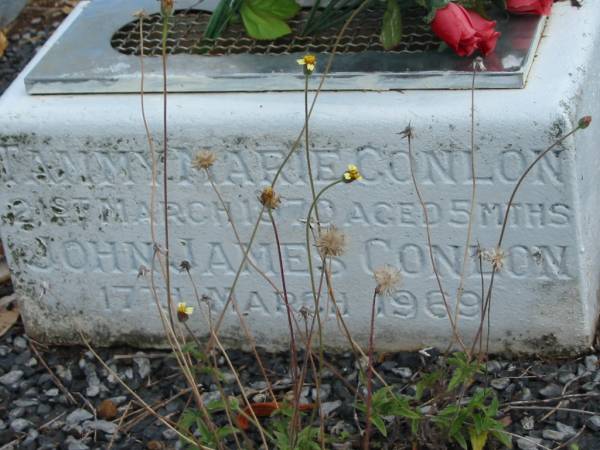 Tammy Marie CONLON  | 21 Mar 1970  | aged 5 mths  |   | John James CONLON  | 17 Mar 1969  |   | St Matthew's (Anglican) Grovely, Brisbane  | 
