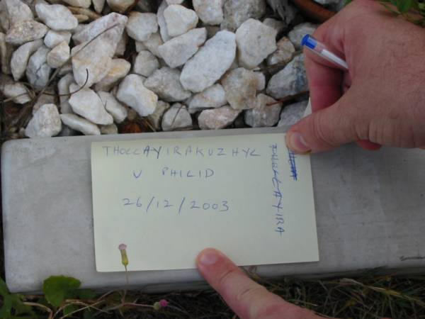 Thollayirakuzhyl V PHILID  | 26-12-2003  |   | St Matthew's (Anglican) Grovely, Brisbane  | 