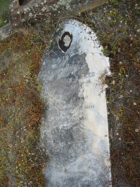 Horace Victor REED  | 8 Feb 1910  | aged 18 yrs  |   | Mother  | Emma REED  | 18 May 1917  | aged 67 years  |   | St Matthew's (Anglican) Grovely, Brisbane  | 