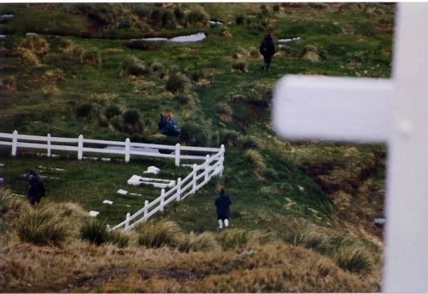Grytviken Cemetery, South Georgia Island  | 