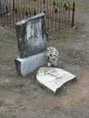 Sydney Kathleen (2nd daughter of) J.I. & Jane HOLDSWORTH of Walloon
died 8 Sep 1887, aged 2 12 years
Haigslea Lawn Cemetery, Ipswich