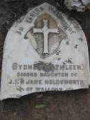 Sydney Kathleen (2nd daughter of) J.I. & Jane HOLDSWORTH of Walloon
died 8 Sep 1887, aged 2 12 years
Haigslea Lawn Cemetery, Ipswich