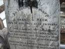 Johannes HECK
18 Aug 1904, aged 79
Haigslea Lawn Cemetery, Ipswich