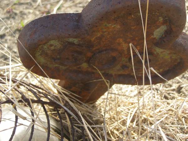 509  | Harrisville Cemetery - Scenic Rim Regional Council  |   | 