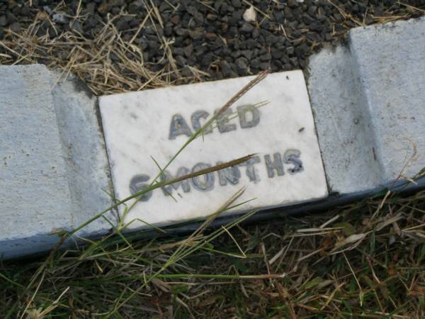 Marilyn H JACKSON  | d:  10 Apr 1953, aged 6 months  | Harrisville Cemetery - Scenic Rim Regional Council  | 
