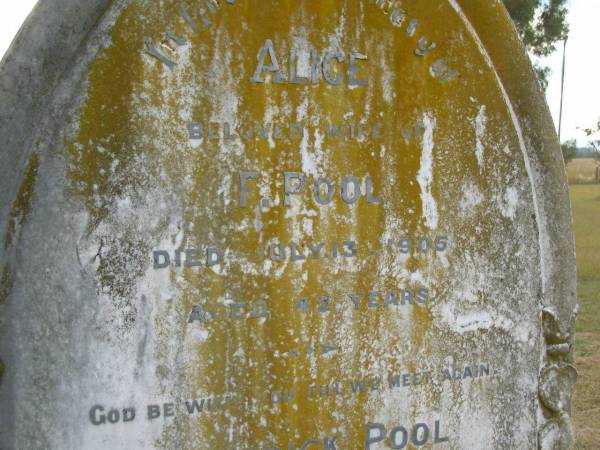 Alice POOL (wife of F POOL)  | d: 13 Jul 1905, aged 42  | Frederick POOL  | d: 11 Aug 1943, aged 81 (cremated Brisbane)  | Harrisville Cemetery - Scenic Rim Regional Council  | 
