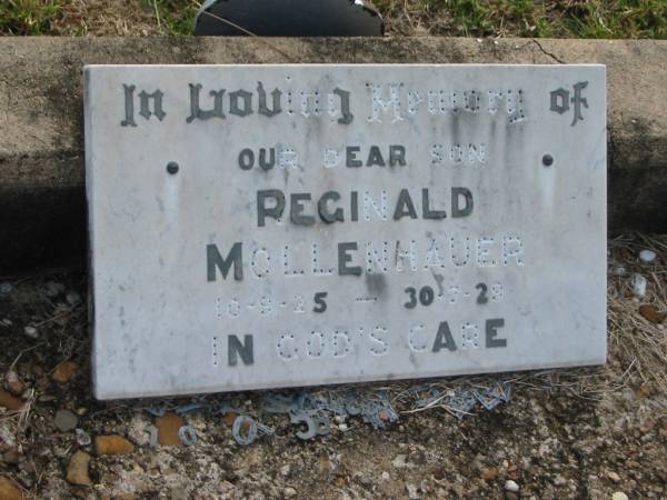 Daniel MOLLINHAUER  | d: 26 Mar 1920, aged 79  | Johanna MOLLINHAUER  | d: 27 Dec 1923, aged 76  |   | Reginald MOLLENHAUER  | b: 10 Sep 1925, d: 30 Jul 1929  | Harrisville Cemetery - Scenic Rim Regional Council  | 