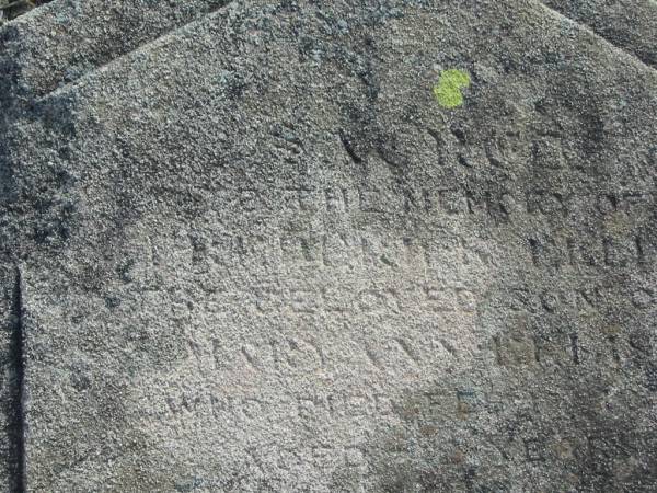 ??rter Nelly  | son of  | Mary Ann LE?IS  | d: Feb 1904?  | aged 2 years  |   | Harrisville Cemetery - Scenic Rim Regional Council  |   | 