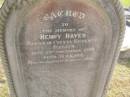 
Henry HAYES
native of County Kilkenny, Ireland
d: 29 Nov 1890, aged 51
Harrisville Cemetery - Scenic Rim Regional Council


