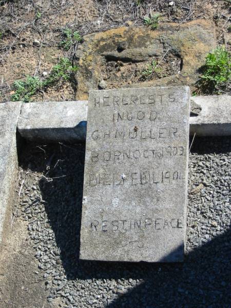 C.H. MULLER, born 10? Oct 1903 died 14? Feb 1904;  | St Paul's Lutheran Cemetery, Hatton Vale, Laidley Shire  | 