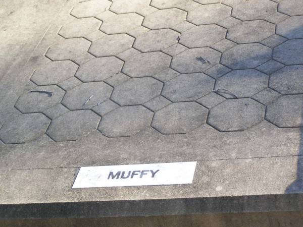 Thomas Patrick KELLY,  | 11-3-1921 - 11-10-1995;  | Maureen Ann (Muffy) KELLY (nee CONNOLE),  | 29-2-1924 - 13-1-1994;  | Helidon Catholic cemetery, Gatton Shire  | 