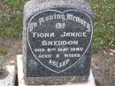 
Fiona Janice SNEDDON,
died 8 May 1980 aged 2 weeks;
Helidon General cemetery, Gatton Shire

