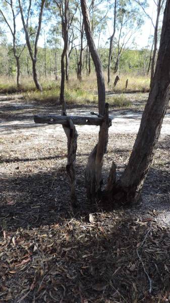   | Herberton Pioneer - Rose Lane Cemetery  |   |   |   | 