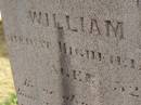 
Wilfred James,
son of John & Mary BROWN,
died 21 July 1913 aged 3 12 years;
William BROWNE,
died Highfields 15? June 1926 aged 52 years,
erected by brothers & sisters;
Highfields Baptist cemetery, Crows Nest Shire
