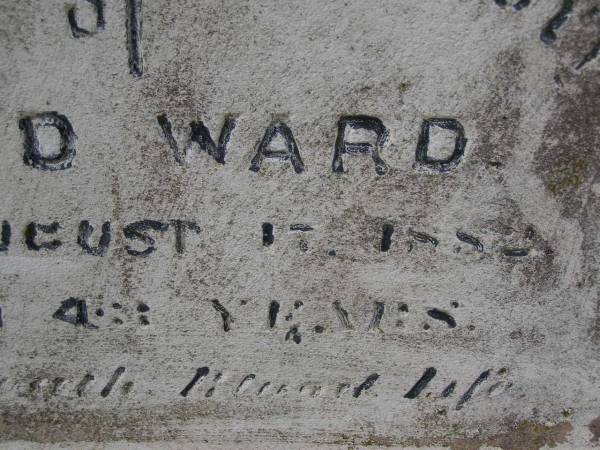 Charlotte Mary HULL,  | died 3 Aug 1907 aged 27 years;  | Charlotte Williams,  | died 9 July 1911 aged 67? years;  | Arthur Harris WARD,  | died 16 Oct 1896 aged 21 years;  | David WARD,  | died 17 Aug 1882 aged 43 years;  | Highfields Baptist cemetery, Crows Nest Shire  |   | 