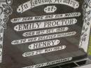 Emily PROCTOR,
wife mother,
died 18 Oct 1950;
Henry,
husband,
died 2 May 1963;
Howard cemetery, City of Hervey Bay