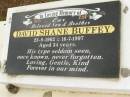 David Shane BUFFEY,
son brother,
23-8-1962 - 16-7-1997 aged 34 years;
Howard cemetery, City of Hervey Bay
