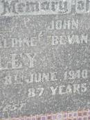 Mary Ann Susannah McAlpine STELEY,
died 13 June 1939 aged 78 years;
John Bevan STELEY,
died 8 June 1940 aged 87 years;
Howard cemetery, City of Hervey Bay
