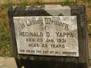 Reginald D. YAPPA,
died 25 Jan 1931 aged 25 years;
Howard cemetery, City of Hervey Bay