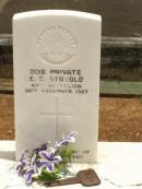 E.C. STOVOLD,
husband,
died 30 Nov 1927;
Howard cemetery, City of Hervey Bay