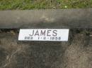 James LAING,
died 1-11-1958;
Howard cemetery, City of Hervey Bay