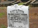 William Oliffe (Billy) WATSON,
died 23 Aug 1931 aged 5 years 8 months;
Howard cemetery, City of Hervey Bay