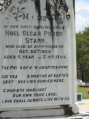 Noel Olgar Power STARR,
only child,
died diphtheria 30 Oct 1908 aged 6 years 2 months;
Howard cemetery, City of Hervey Bay