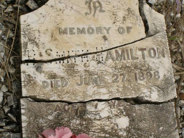 Mary Edith HAMILTON,  | died 5 Aug 1908 aged 40 years;  | James HAMILTON,  | died 19 Aug 1912 aged 54 years;  | H. Smith HAMILTON,  | died 27 JUne 1898 aged 7 weeks;  | Howard cemetery, City of Hervey Bay  | 