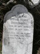 Samuel Henry SONNENBURG
geb 12 Nov 1895, gest 16 Sep 1897
Hoya Lutheran Cemetery, Boonah Shire