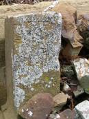 ...n G Navbr
1869
Oct 1889
Hoya Lutheran Cemetery, Boonah Shire