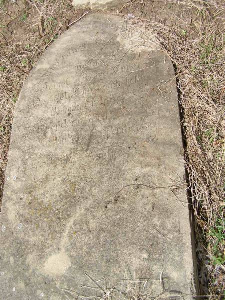 ?gebeble Callmand MULLER  | (beloved wife and mother)  | Ca  |    mpuerehelichte  | geb Heinpuoichelichle  | Herman Menge  |          Apr  1862  | ges      Sept 1882  |   | Hoya Lutheran Cemetery, Boonah Shire  |   | 