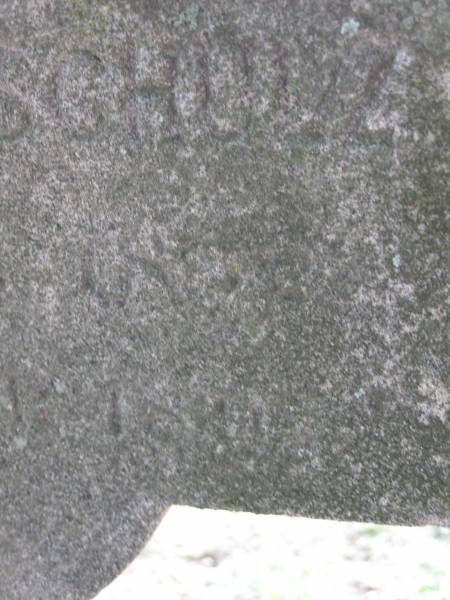 Carl Wilhelm SCHULZ  | geb:  10 Feb 1852?  | gest: 10 Nov 1891?  | Hoya Lutheran Cemetery, Boonah Shire  |   | 