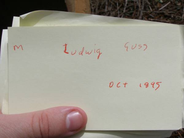 M  Ludwig GUSS  |      Oct 1895  | Hoya Lutheran Cemetery, Boonah Shire  |   | 